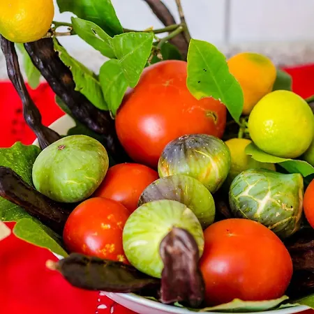 Cypress Sea Cove - Comfort With Balcony And Sea View A1 * Slano